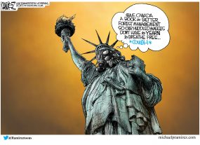 cartoon