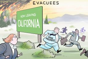 cartoon