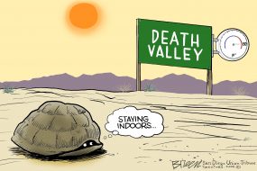 cartoon