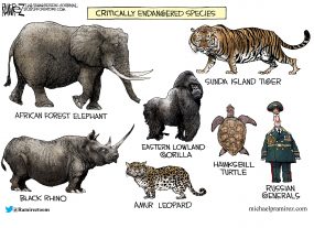 cartoon