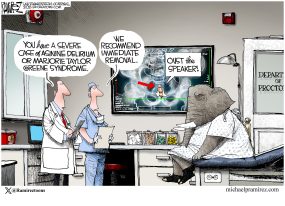 cartoon