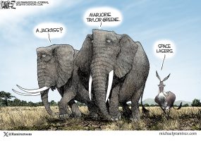 cartoon