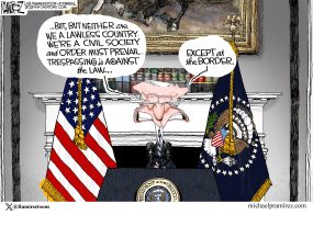 cartoon