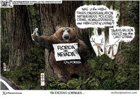 cartoon