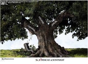 cartoon