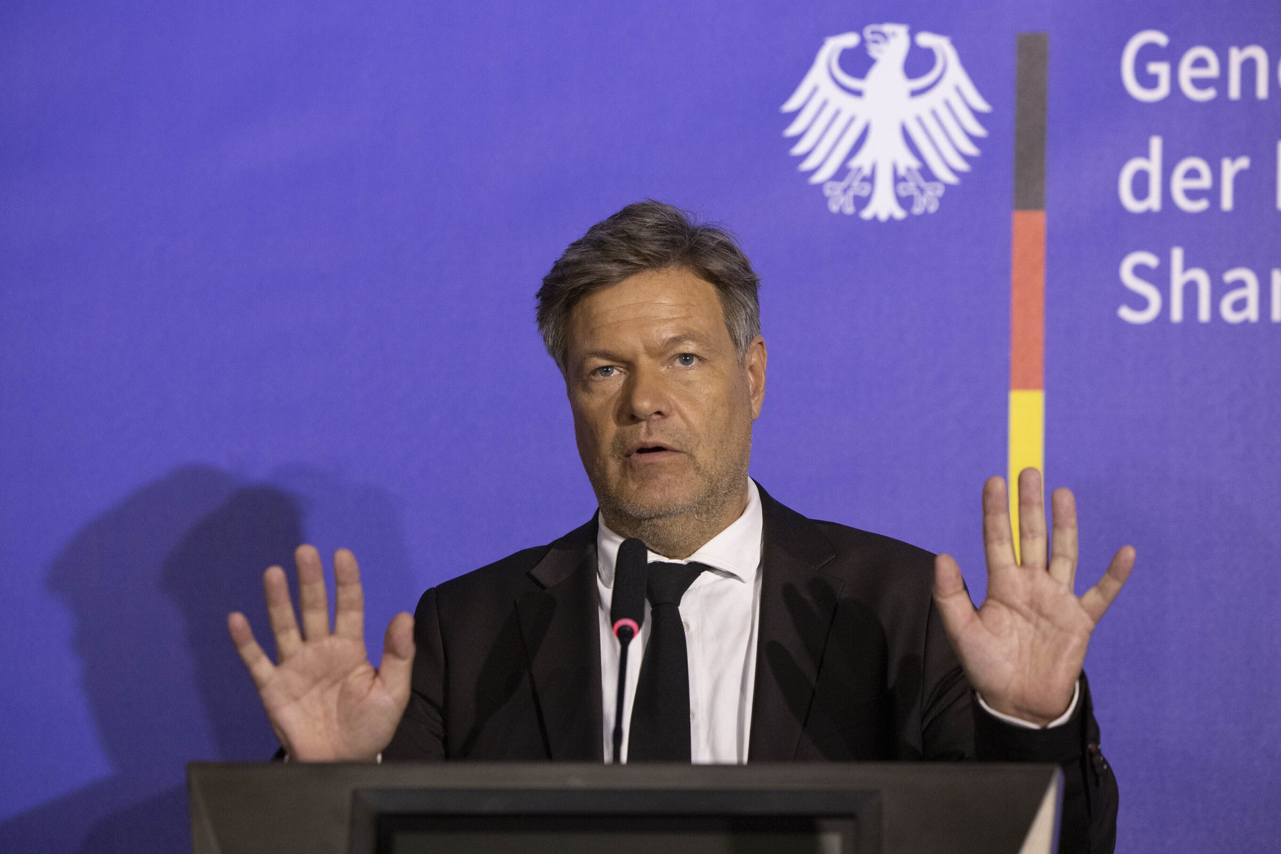 Germany plans $3.7 billion program to help decarbonize industry ...