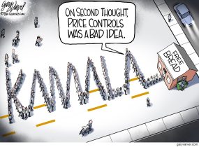 cartoon