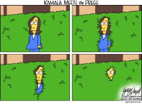cartoon