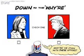 cartoon