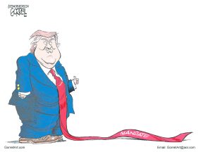 cartoon