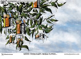 cartoon
