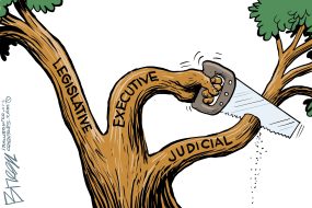 cartoon