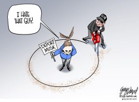 cartoon