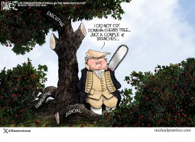 cartoon