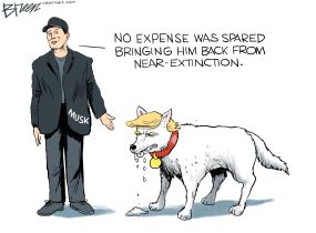 cartoon