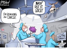 cartoon