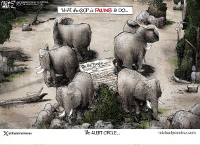 cartoon