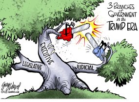 cartoon