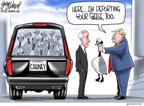 cartoon