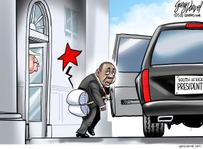 cartoon