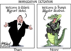 cartoon