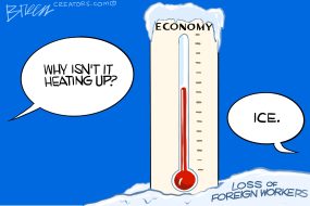 cartoon