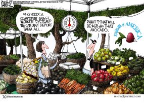 cartoon