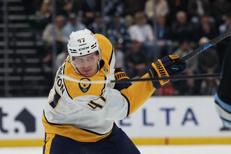 Wild acquire F Michael McCarron from Predators