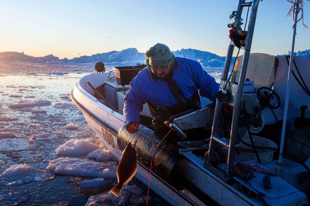 ‘It’s too warm’: Greenland’s fishermen are under threat from climate change