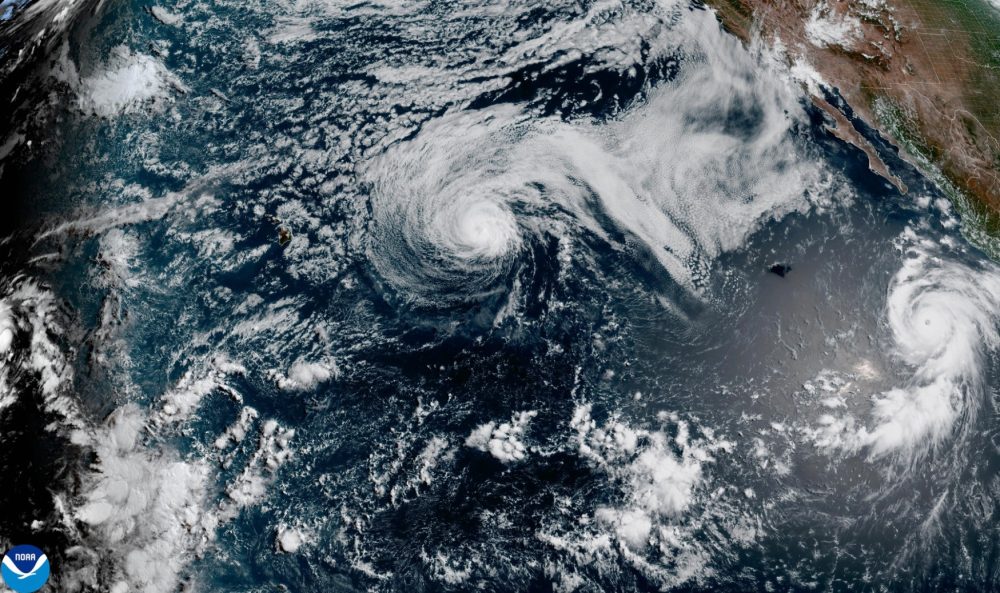 Genevieve becomes a Category 5 hurricane but is not expected to make landfall
