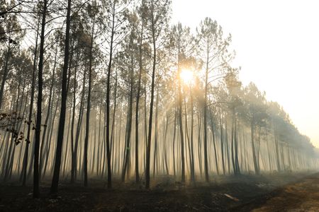 France and Spain fight to contain wildfires as temperatures soar again