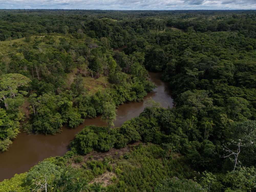 Colombia’s deforestation rises slightly as Amazon forest loss holds steady