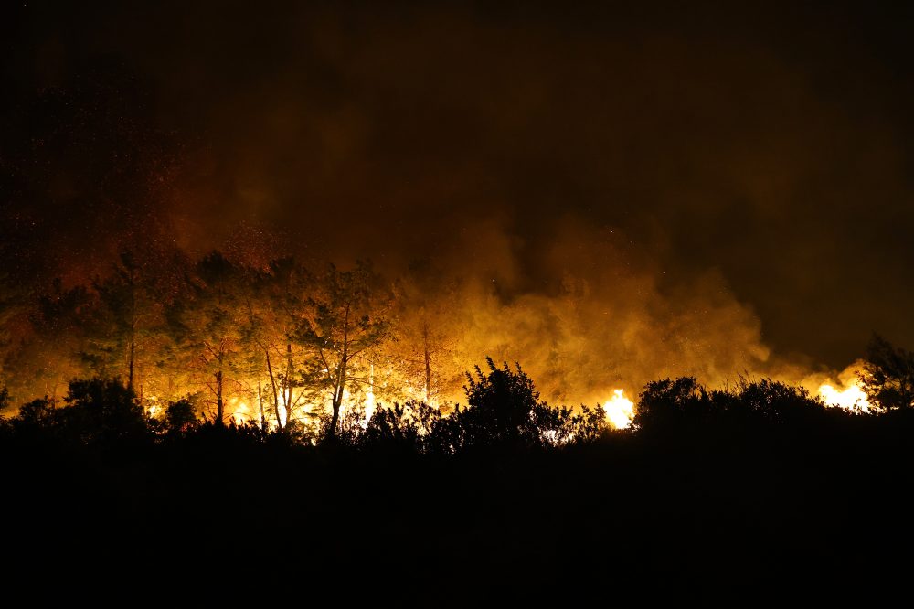 Volunteer firefighter dies in Turkey while tackling wildfire, 8 people injured