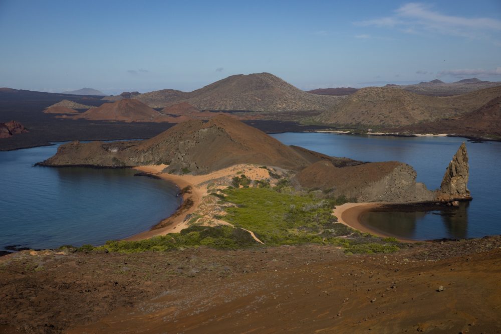 A stronger-than-normal El Nino alarms scientists over Galápagos wildlife and forests