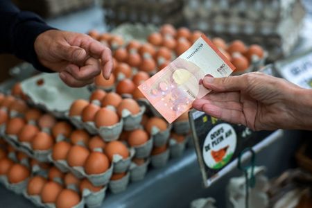 Anxious French consumers cut back as election and budget battles loom