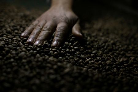 Coffee traders’ big shipments are set to boost exchange stocks and weigh on prices