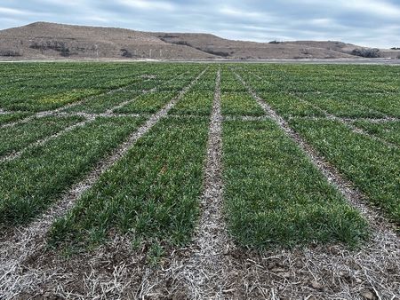 Syngenta files for Hong Kong IPO that could raise $5 billion, Bloomberg News reports