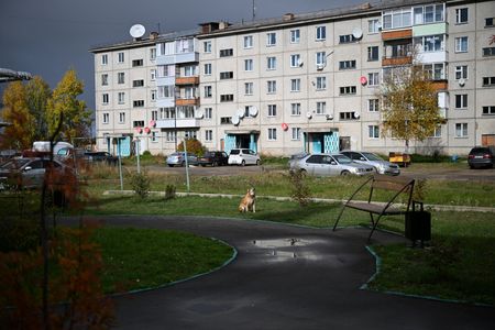ロシア・シベリアの村でヒグマ出没が相次ぎ住民が警戒