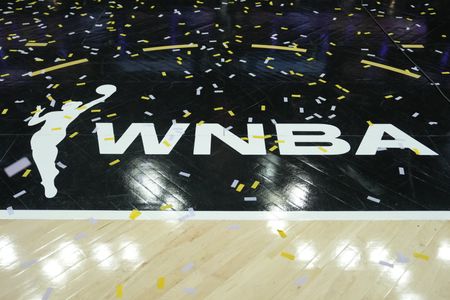 Game 7 trending as most expensive WNBA Finals ticket ever